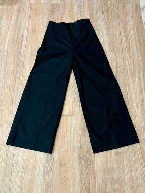 J Crew 6P Wide Leg Pants NWT